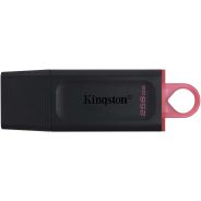 Clé USB Kingston 256 GB - USB 3.2